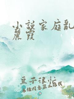 小说家庭乱情王丽霞