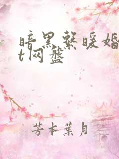 暗黑系暖婚txt网盘