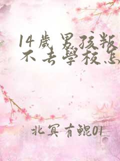 14岁男孩叛逆不去学校怎么办