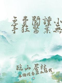 免费阅读小说妙手狂医叶无天