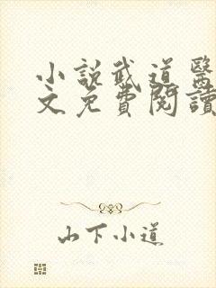 小说武道医王全文免费阅读
