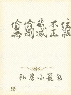 偷偷藏不住小说无删减正版在线阅读