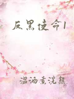 反黑使命1