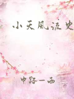 小天风流史在线