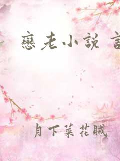 恋老小说 言情