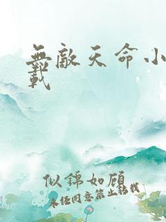 无敌天命小说下载