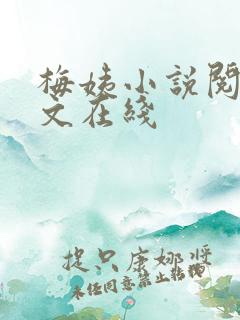 梅姨小说阅读全文在线