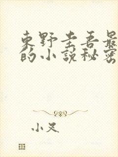 东野圭吾最好看的小说秘密