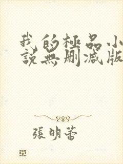 我的极品小姨小说无删减版