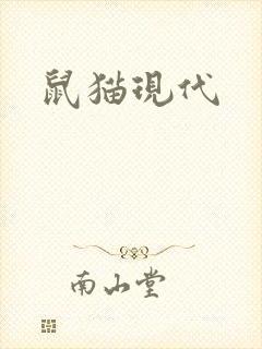鼠猫现代