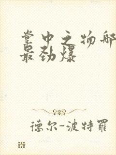 掌中之物哪一章最劲爆