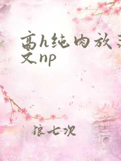 高h纯肉放荡h文np