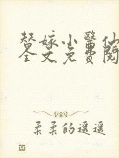 替嫁小医仙小说全文免费阅读