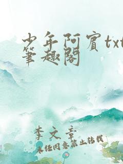 少年阿宾txt笔趣阁