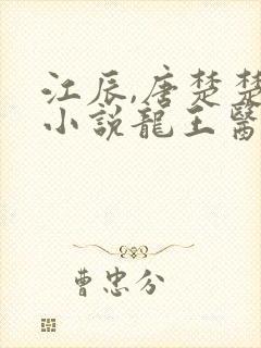 江辰,唐楚楚的小说龙王医婿