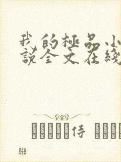 我的极品小姨小说全文在线阅读