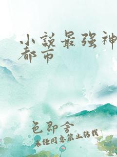 小说最强神医混都市
