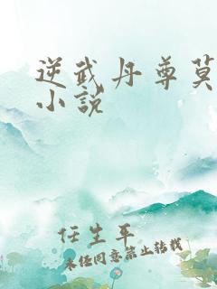 逆武丹尊莫忘尘小说