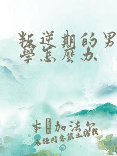 叛逆期的男孩厌学怎么办