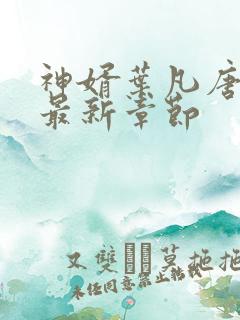 神婿叶凡唐若雪最新章节
