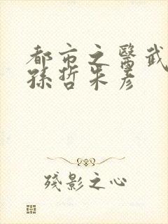 都市之医武风流孙哲朱彦