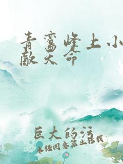 青鸾峰上小说无敌天命