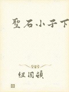 圣石小子下载