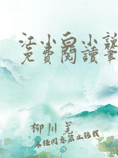 江小白小说全文免费阅读笔趣阁