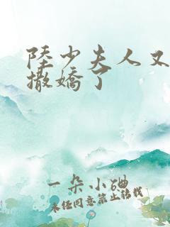 陆少夫人又双叒撒娇了