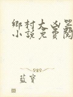 乡村大凶器在线小说免费阅读