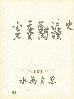 小天风流史小说免费阅读