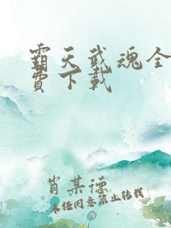 霸天武魂全本免费下载