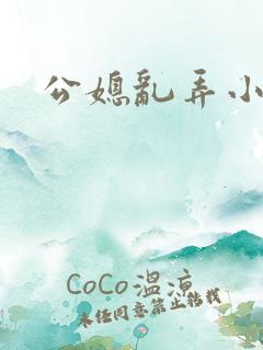 公媳乱弄小说