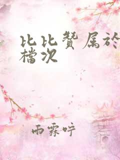 比比赞属于什么档次