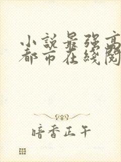 小说最强高手在都市在线阅读
