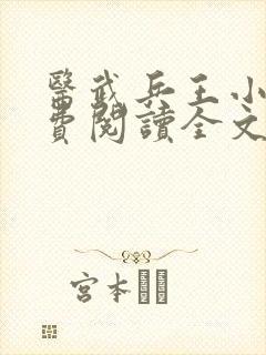 医武兵王小说免费阅读全文