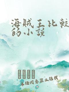 海贼王比较好看的小说