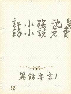 许小强 沈丽娟的小说免费阅读
