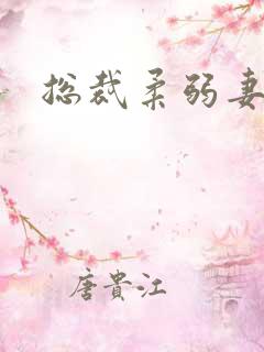 总裁柔弱妻