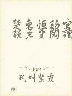 楚东恒的官场小说免费阅读小说