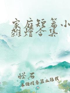 家庭短篇小说大杂烩合集