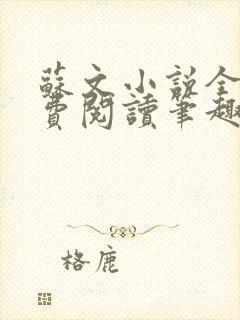 苏文小说全文免费阅读笔趣阁