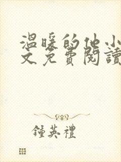 温暖的他小说全文免费阅读无弹窗