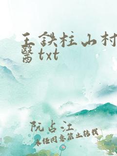王铁柱山村小神医txt