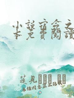小说宿命之环完本免费阅读