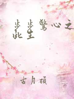 步步惊心之禛曦此生