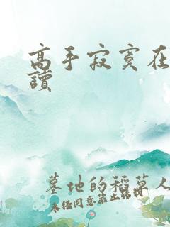 高手寂寞在线阅读