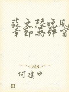 苏文陆晚风最新章节无弹窗笔趣阁
