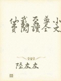 仙武至尊小说免费阅读全文