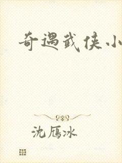 奇遇武侠小说
